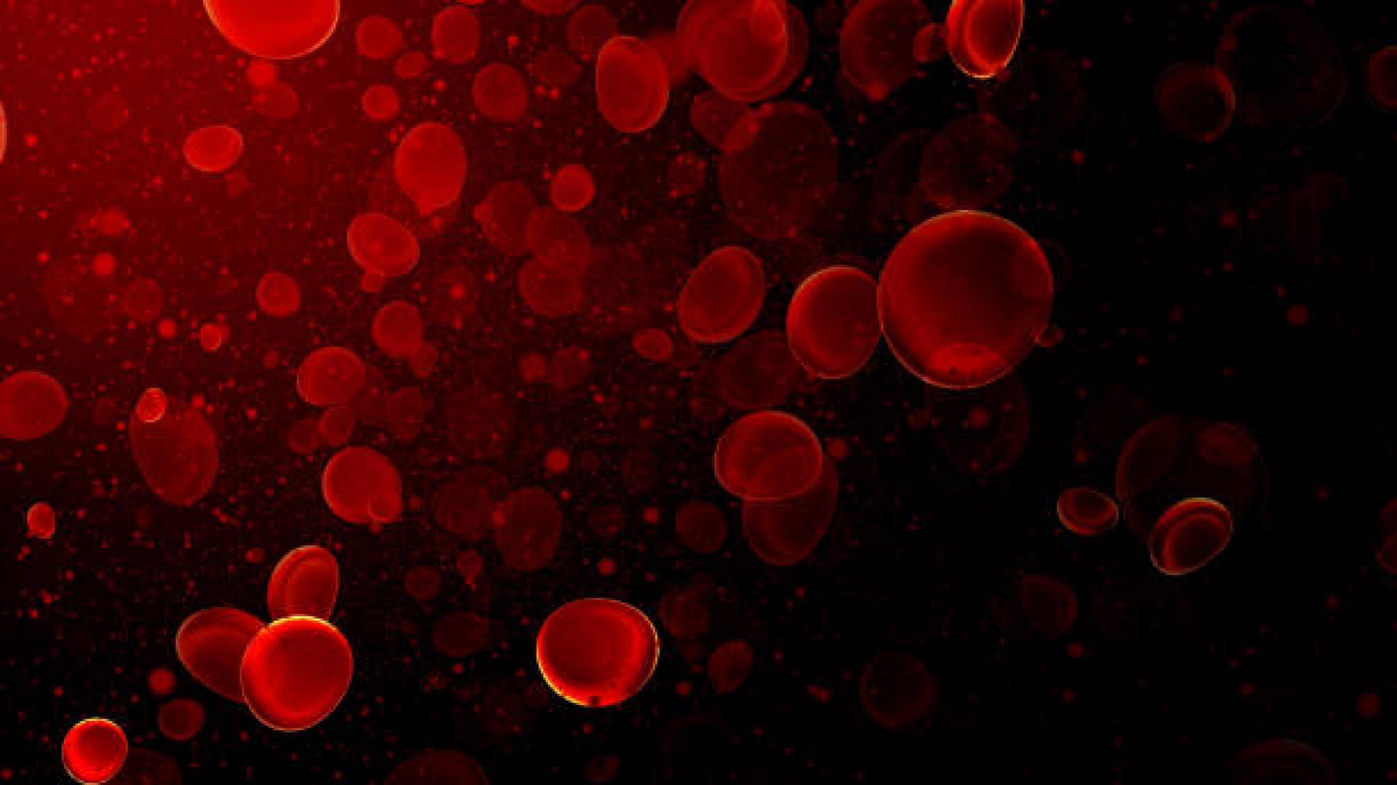 red blood cells illustration