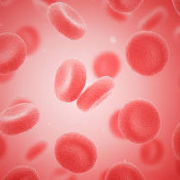 Blood cells